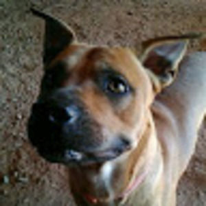 Meet your Posher, Tyty